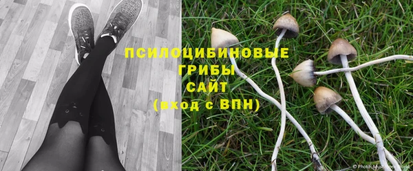 спайс Абаза