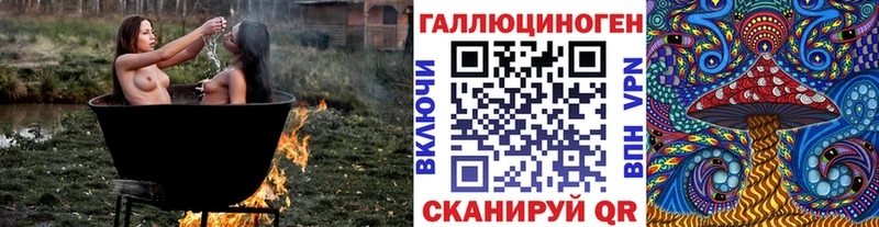 Галлюциногенные грибы Psilocybine cubensis  как найти закладки  Курчатов 